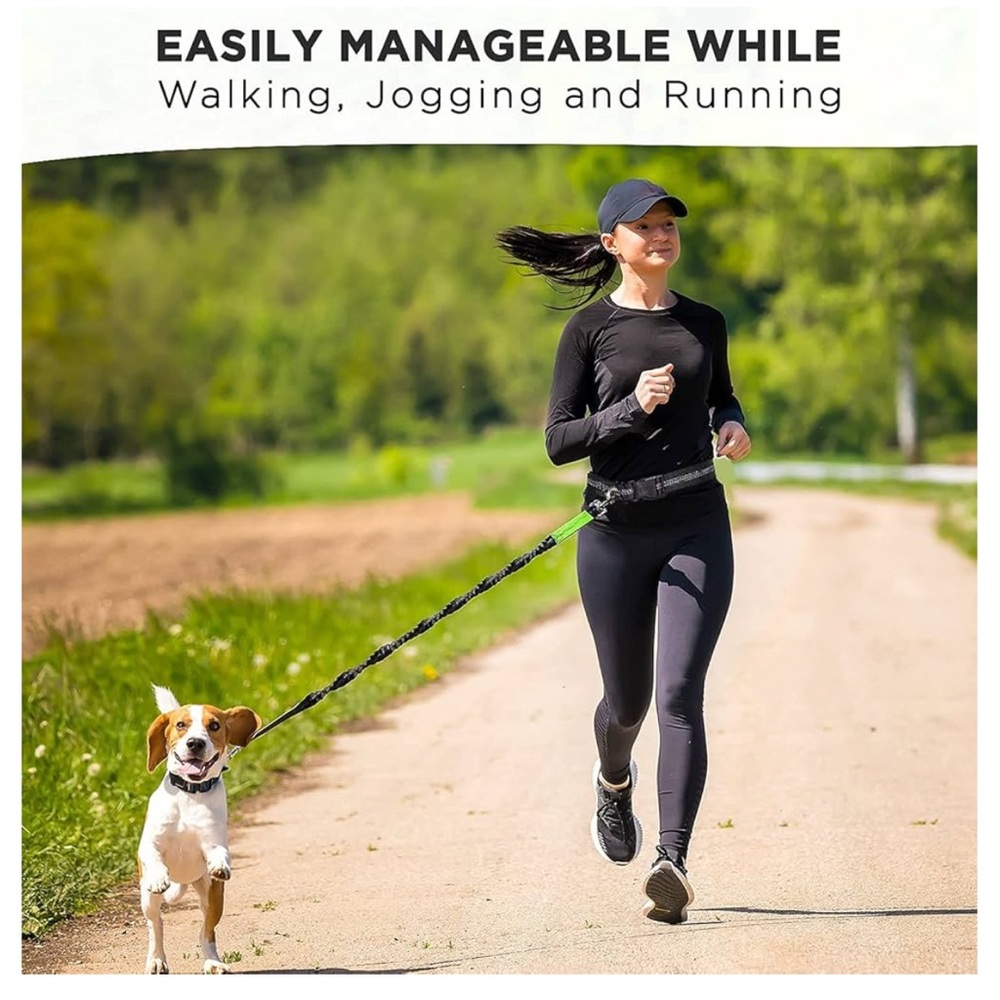 Bungee Dog Leash w/ Waist Belt